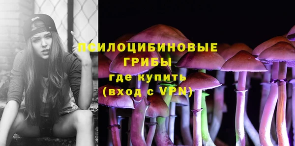 сатива Слюдянка