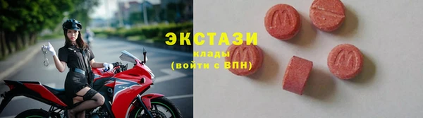 гидра Снежногорск