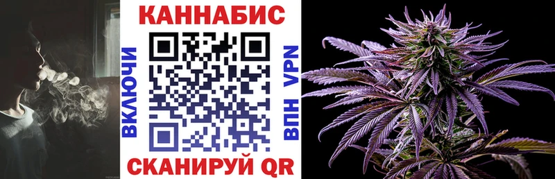 мориарти Telegram  Пионерский  Конопля OG Kush 